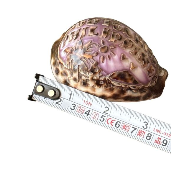 Engraved Seashell Souvenir - Picture 5 of 5